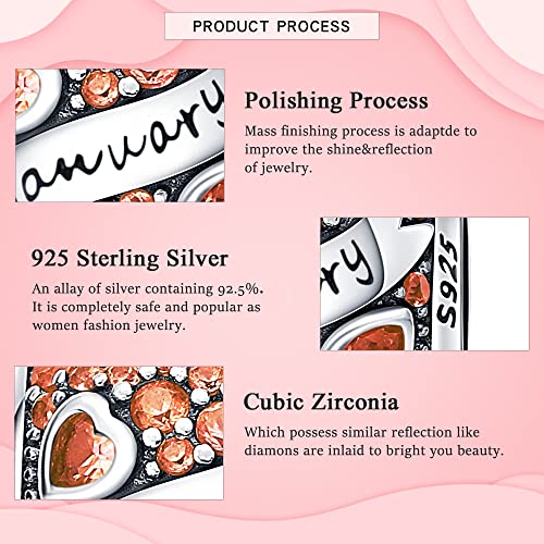 925 Sterling Silver Birthstone Charms fits Charms Bracelets for Woman，with 5A Cubic Zirconia Dangle Pendant Bead,Happy Birthday Charms for Bracelet and Necklace Valentine's Day Mother's Day Gift - color: 1-January Birthstones
