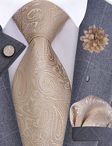 GUSLESON 3.15"（8cm） Mens Tie and Lapel Pin Paisley Necktie Hankerchief Cufflinks Set for Men - color: Champagne