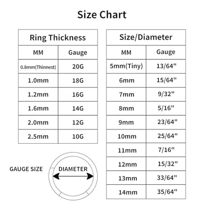 20/16G CZ Hinged Nose Rings Hoop, 316L Surgical Stainless Steel Cartilage Earring, Septum Clicker Ring, Daith Helix Rook Tragus Conch Lip Lobe Piercing Jewelry - color: A Silver Double Open Ring with Blue Silver CZ, size: 1pc 20 Gauge 10mm