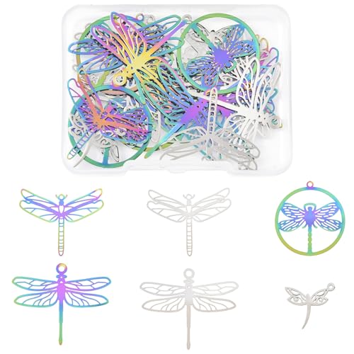 8-64Pcs Silver Goldern Color Heart Pendants Charms 10 Styles Heart Stainless Steel Metal Charms for Jewelry Making Crafting Necklaces Bracelets Earrings Keychains Birthday Gift - color: Colorful Dragonfly-24 pcs
