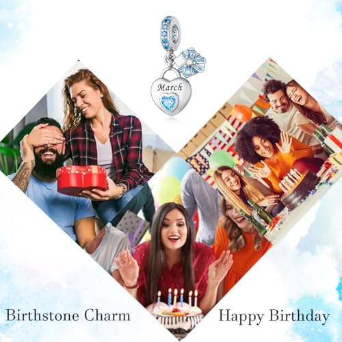 HappyStar 925 Sterling Silver Happy Birthday Bead Charm Love Heart Shape Birthstone Charms for Bracelets Dangle Pendant with 5A Cubic Zirconia Compatible Pandora Bracelets Jewelry Gift for Women - color: 3-March Birthstone Charms