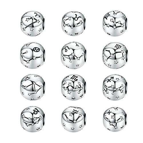 Constellation Charm 925 Sterling Silver Birthstone Bead for Pandora Charms Bracelet-Gift for Anniversary Birthday Christmas Day - color: Pisces (2.19-3.20)