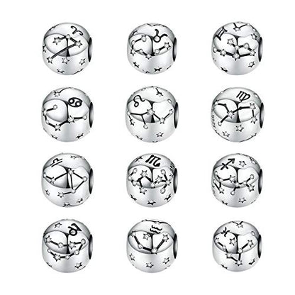 Constellation Charm 925 Sterling Silver Birthstone Bead for Pandora Charms Bracelet-Gift for Anniversary Birthday Christmas Day - color: Pisces (2.19-3.20)