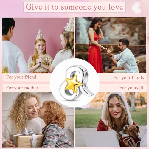 925 Sterling Silver 12 Astrological Signs Charm for Bracelets and Necklace Happy Birthday Charms for Bracelet and Necklace Valentine's Day Mother's Day Gift - style: Leo Charm