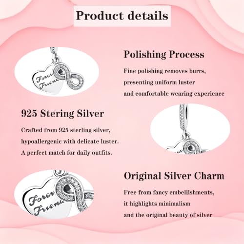 925 Sterling Silver Charms Pendants Mom Heart Dog koi fish Sea Turtle Football Charms for bracelet Pendants Beads Mom Sister Wife Family, Friends, Birthday gifts - style: Forever friend pendant