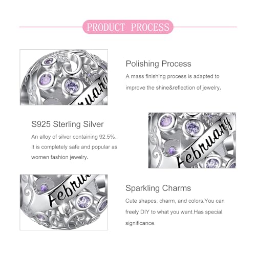 S925 Sterling Silver Twelve Months Birthstone Charms for Pandora Bracelets | Su-Carata 12 Months Birthstone Bead Charms with Colorful Cubic Zircona fit Necklaces Gifts For Birthday Mother's Day Women