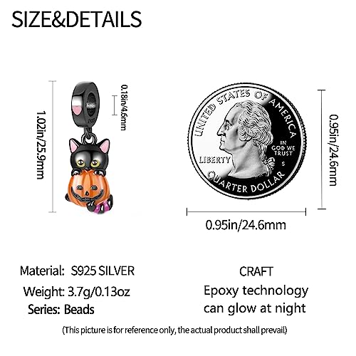 925 Sterling Silver Charms for Bracelets Necklaces Dangle Pendant With 5A Cubic Zirconias Bead Charm for Women DIY Jewelry - style: Glow-in-the-dark kitten
