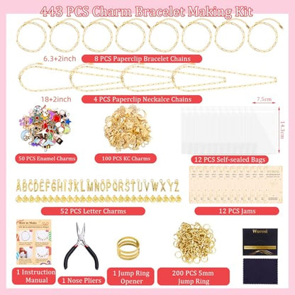 Wurosi Gold 443PCS Gold Charm Bracelet Necklace Making Kit for Women | Includ 8 Paperclip Chain Bracelets,4 Paperclip Chain Necklaces,Accessories for Jewelry Making,Crafts Beginner Supplies Gift - color: 443 Pcs Gold Bracelet Necklace