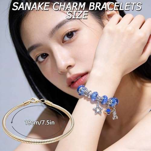Exway 10 Pcs Snake Charm Bracelet Chain 7.5 Inch Gold Charm Bracelet Kit Snake Chain Bracelets Chain for Christmas DIY Women Jewelry Making Gifts - color: gold style A, size: 7.5in