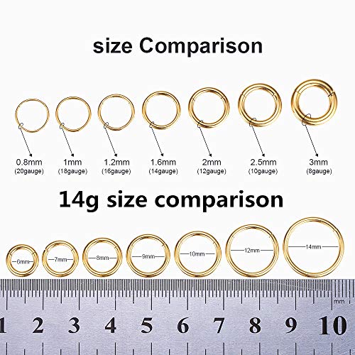 ORANGELOVE Hypoallergenic Nose Rings 20G 18G 16G 14G 12G 10G 8G 316l Surgical Steel Septum Jewelry Hinged Segment Ring Body Piercing Nose Hoop Lip Rings Nose Helix Cartilage Rook Earrings - color: Gold, size: 1pc 14 Gauge 12mm