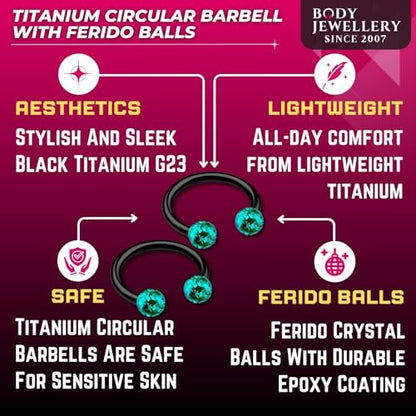 2pcs 16g Circular Barbell Black Titanium G23 Ear Helix Lip Eyebrow Tragus Nose Snake Septum Cartilage Bite Ring B2ICT - color: Blue Zircon