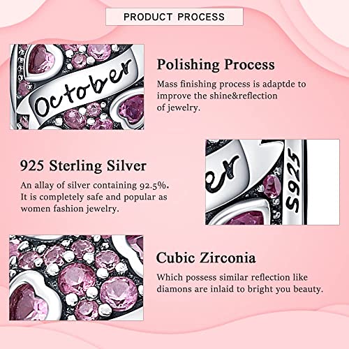 HappyStar 925 Sterling Silver Month Birthstone Charm for Bracelets Necklace，with 5A Cubic Zirconia Dangle Pendant Bead,Happy Birthday Valentine's Day - color: 10-October Birthstones