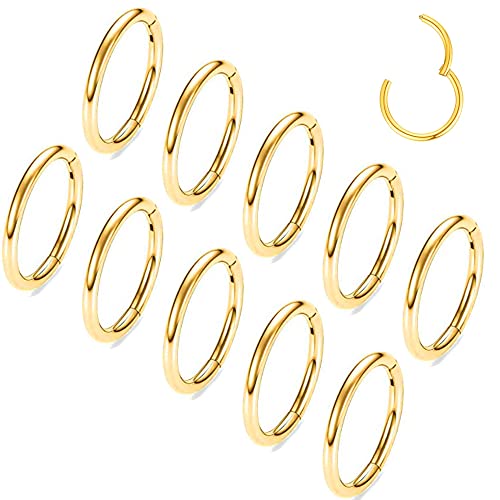 MOQIKAKA16G 18G 20G Surgical Steel Nose Septum Rings Hoops - Stainless Steel Hinged Clicker Segment Nose Rings Hoop Helix Cartilage Daith Tragus Sleeper Earrings, Ear Plugs Tunnels Gauges - color: Classic Gold 10PCS, size: 16g 10mm