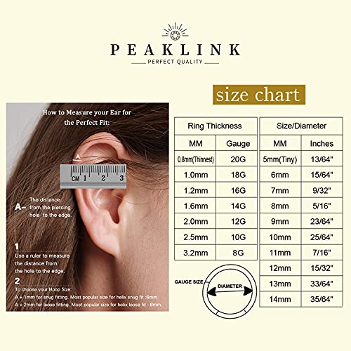 16G Cartilage Earring Hoop 316L Surgical Steel Daith Helix Conch Earrings Tragus Rook Earrings CZ Opal Septum Jewelry Seamless Clicker Nose Rings Hinged Segment Ring Hoop Earring for Women Men - color: 1PC,Gold,Cross CZ