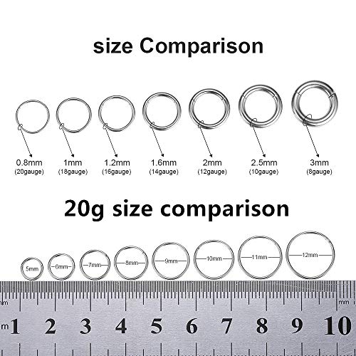 ORANGELOVE Hypoallergenic Nose Rings 20G 18G 16G 14G 12G 10G 8G 316l Surgical Steel Septum Jewelry Hinged Segment Ring Body Piercing Nose Hoop Lip Rings Nose Helix Cartilage Rook Earrings - color: Silver, size: 1pc 20 Gauge 6mm