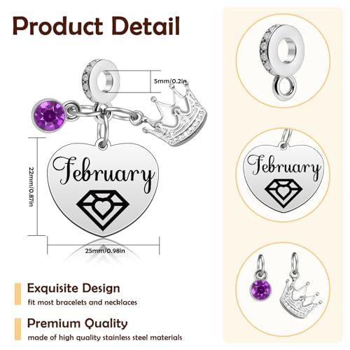Birthday Gifts for Women Birthstone Charms for Bracelets Necklaces Jewelry Gift for Mom Wife Daughter Granddaughter Niece Sister Girlfriend - color: February
