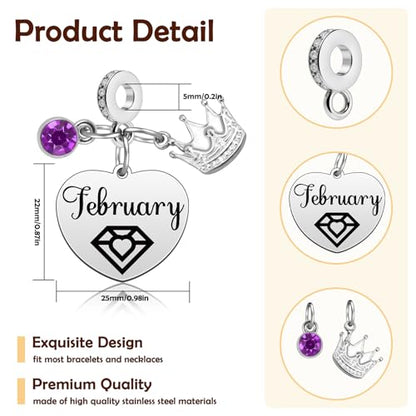 Birthday Gifts for Women Birthstone Charms for Bracelets Necklaces Jewelry Gift for Mom Wife Daughter Granddaughter Niece Sister Girlfriend - color: February