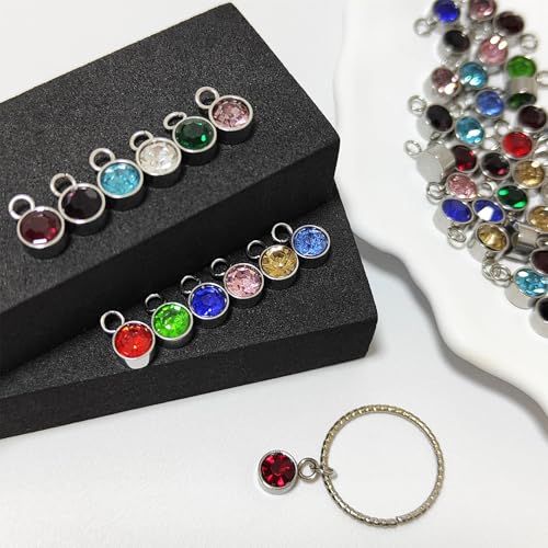 Glass Rhinestone Charms, 48 Pcs 12 Colors Silver Back Round Birthstone Beads Crystal Dangle Jewelry Making Pendants for Earrings Necklace Bracelet, 6MM