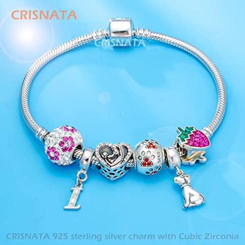 26 Letter Pendant Charms, Polished 925 Sterling Silver Complete Initial A-Z Dangling CZ Stone Alphabet Beads, fits European Bracelet Necklace, Gift for Mother/Father/Daughter/Son/Sister/Aunt - color: Letter I CZ Pendant Charm