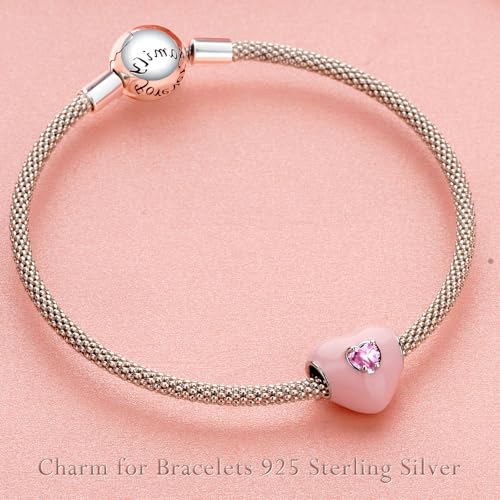 S925 Charms for Bracelets and Necklaces, Gifts for Mothers Nurses Day Graduation, for Girlfriend Family Friend, Bead Pendant, for Pandora, Silver 14K Gold Plated Enamel CZ, DIY Jewelry Making - style: 27 Pink Heart Charms with CZ
