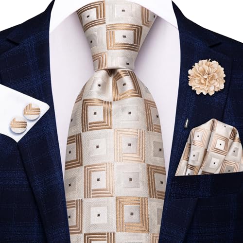 Hi-Tie Men's Silk Ties Formal Woven Classic Necktie Pocket Square Cufflinks Lapel Pin Set Wedding Business - color: Beige and Khaki