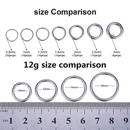 ORANGELOVE Hypoallergenic Nose Rings 20G 18G 16G 14G 12G 10G 8G 316l Surgical Steel Septum Jewelry Hinged Segment Ring Body Piercing Nose Hoop Lip Rings Nose Helix Cartilage Rook Earrings - color: Silver, size: 1pc 12 Gauge 16mm