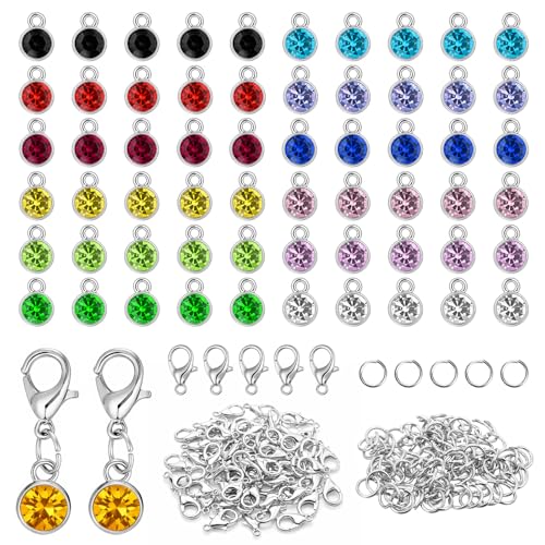 Xthrotsenk 60Pcs Birthstone Charms for Jewelry Making Stainless Steel Charms for Jewelry Crystal Charm with 60 Jump Ring 60 Connecting Ring Fit Bracelet Earring Necklace Keychain Making 12 Color