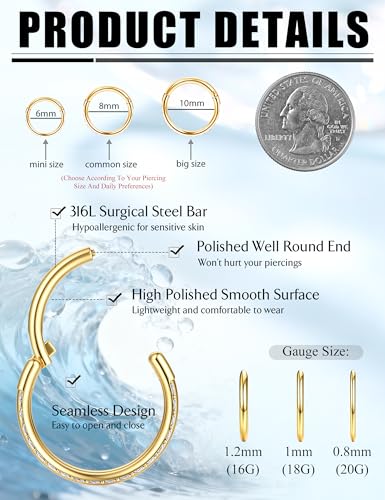 FASACCO 20G 18G 16G Cartilage Hoop Earring 316L Surgical Steel Silver Huggie Hoop Earrings Hypoallergenic Hinged Segment Rings Septum Nose Hoops Daith Conch Helix Tragus Piercing Jewelry 6mm/8mm/10mm - style: Gold2-16G-6MM