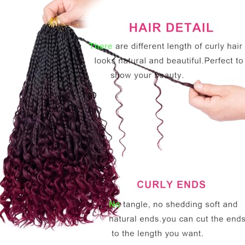 Unionbeauty 14 Inch Boho Box Braids Crochet Hair Goddess Box Braids Crochet Hair with Curly Ends 8 Packs Bohemian Box Braids Crochet Hair for Black Woman Synthetic Braiding Hair Extension 1B/99J/BUG# - color: 1B/99J/BUG#, size: 14 Inch (Pack of 8)