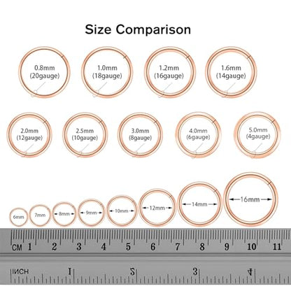 FUNLMO 316L Surgical Steel Hinged Segment Nose Ring Hoop for Nose Septum Cartilage Helix Tragus Conch Rook Daith Lobe Lip Piercings 1 Pc - color: Rose gold
