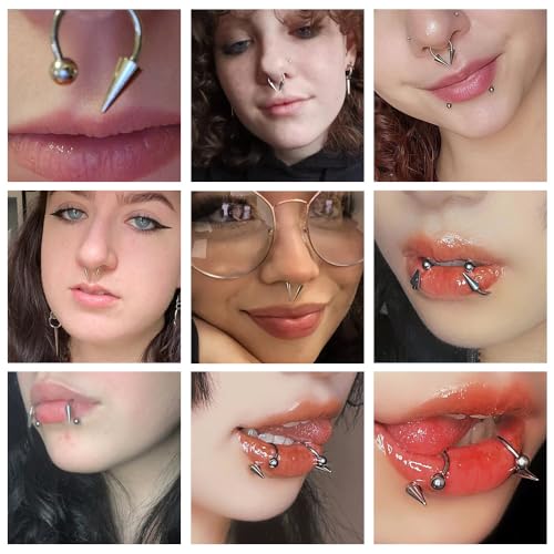 Zolure 16g Lip Rings Horseshoe Labret Jewelry Lip Barbell Ring Spike Snake Bite Piercing Jewelry Tragus Helix Earrings Studs Medusa Piercing for Women Men - color: 16G 8mm #7