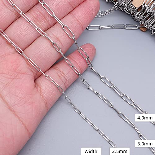 THREENEST 32.8-Feet Width 2.5mm Stainless Steel Paperclip Chains, Soldered Cable Long Craft Chain for Necklace Bracelet Earring Jewelry Making (2200-10M) - color: Stainless Steel, size: Width 2.5mm-32.8 Feet