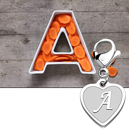 FAADBUK Initial Letter A-Z Alphabet Heart Charms for Jewelry Bracelet Keychain Necklace Initial Stainless steel Clasp Clip on Charm - color: intial A