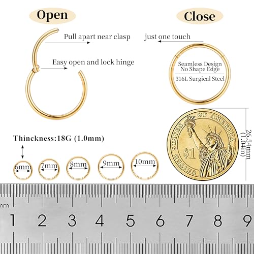 10Pcs 18G 20G Surgical Steel Nose Rings Hoops for Women Men Hinged Seamless Clicker Nose Hoops Cartilage Helix Tragus Daith Sleeper Earrings Hoop Hypoallergenic Nose Piercing 6/7/8/9/10MM - color: gold, size: 18G