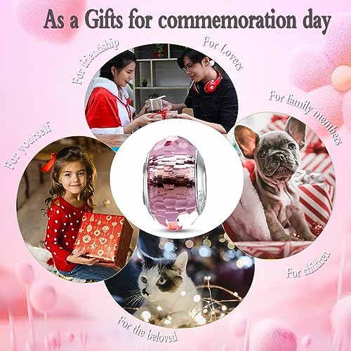 MICOO 925 Sterling Silver Charms for Bracelets,Fashion DIY Dangle Pendants Beads Simulated Birthstone Charms,Birthday Gifts for Women - color: 1Pink Charms