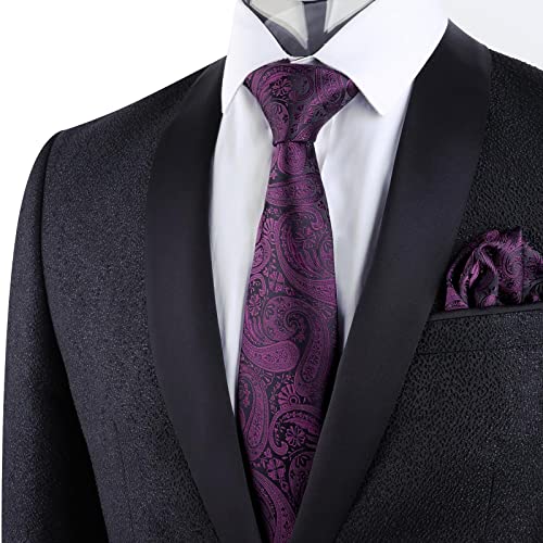 Alizeal Mens Gradient Paisley Necktie and Pocket Square Set | Elegant Design Perfect for Weddings Banquets Business Formal Events - color: 170-plum Purple