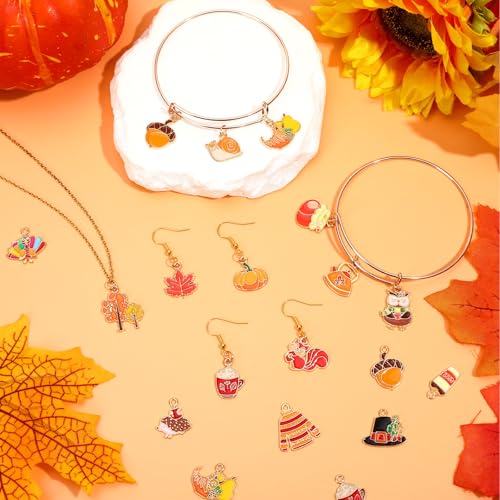 MARFOREVER 40 Pcs/20 Pairs Fall Charms for Jewelry Making Autumn Charms | Thanksgiving Charm for Jewelry Making, Fall Pumpkin Maple Leaf Turkey Enamel Pendants, Bracelet Necklace Earrings Making - style: Fall