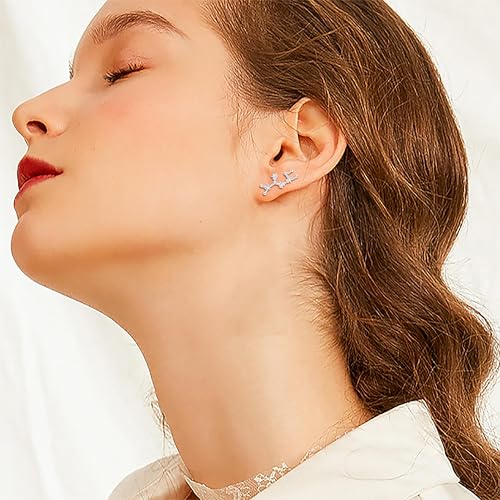 925 Sterling Silver CZ Horoscope Zodiac 12 Constellation Astrology Ear Crawler Post Earrings Gift for Mom Women Mothers Day/Valentines Day/Birthday/Christmas/Anniversary - style: Sagittarius (Nov 22 - Dec 21)