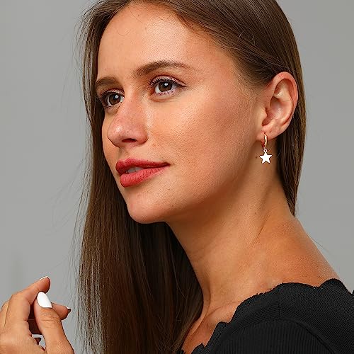 XYJZXY Gold Huggie Small Hoop Earrings with Charm Personalized Snake/Evil Eye/Star/Cross/Lock/Key 18k Gold Plated Crystal Drop Dangle Earrings for Women - style: Star