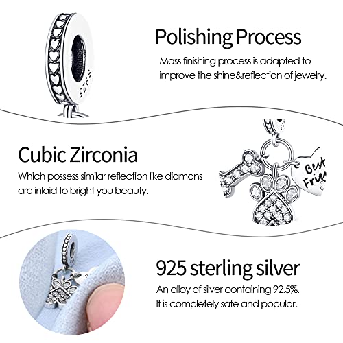 Pandach 925 Sterling Silver Charms for Bracelets and Necklaces Travel Round The World Beads Charms Relaxation Dangle Pendant,Jewelry Beads Gifts for Women - style: Bones cute claw love Charm