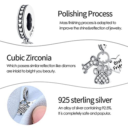 Pandach 925 Sterling Silver Charms for Bracelets and Necklaces Travel Round The World Beads Charms Relaxation Dangle Pendant,Jewelry Beads Gifts for Women - style: Bones cute claw love Charm