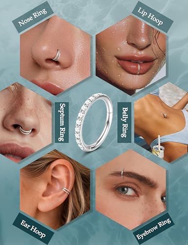Dochais 4PCS 18G Nose Rings Hoops, Surgical Steel Earrings Tragus Septum Piercing CZ Clicker Ring, Hinged Segment Conch Lip Cartilage Double Hoops 8mm 10mm for Women Men - color: Silver, size: 18G(1.0mm),10mm