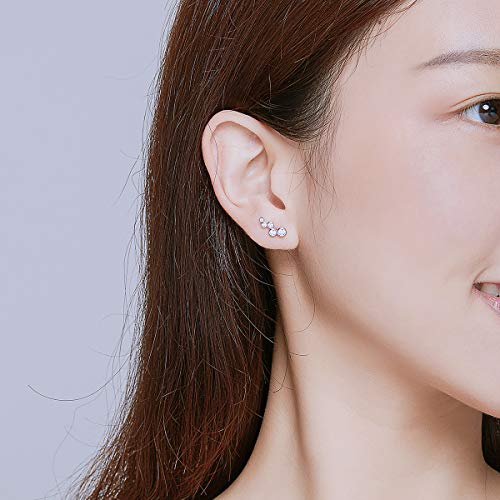 Elegant Round-Cut Crystal Stud Earrings 925 Sterling Silver Simulated Diamond Fashion Cute Climber Wedding Earring Studs Christmas Jewelry Gifts Hypoallergenic for Sensitive Ears