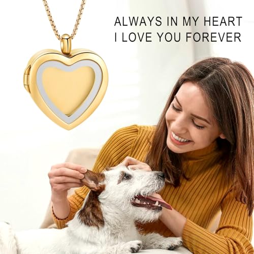 Oinsi Cremation Locket Necklace For Ashes Of Loved One Carry Photo Glass Memorial Urn Jewelry 316L Stainless Steel Keepsake Gifts - color: B-Gold