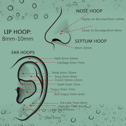 Jstyle 5Pcs 316L Surgical Steel Septum Rings Nose Rings Hoop 16G 18G 20G Hinged Clicker Hoop Nose Rings for Women Men Cartilage Hoop Earring Lip Helix Rook Tragus Conch Septum Nose Piercing Jewelry - style: 16G 8MM