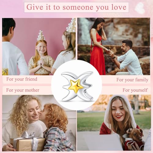 925 Sterling Silver 12 Astrological Signs Charm for Bracelets and Necklace Happy Birthday Charms for Bracelet and Necklace Valentine's Day Mother's Day Gift - style: Pisces Charm