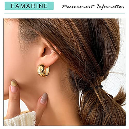 FAMARINE Chunky Thick Hoop Earrings for Women Gold Hoops Huggie Earrings for Men Gift - color: 0.8" Hoop