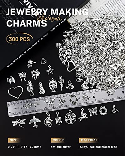 300 PCS Wholesale Bulk Lots Jewelry Making Charms Mixed Smooth Tibetan Silver Alloy Charms Pendants DIY for Bracelet Necklace Jewelry Making and Crafting