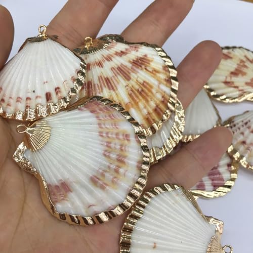 20pcs Natural Shell Pendants Charms Necklace Trendy Pendant For Making DIY Accessories Necklaces Earings