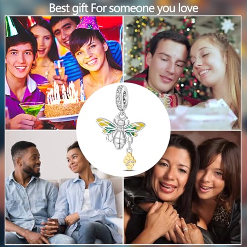 LIGHTDOG 925 Sterling Silve Charms fits Pandora Bracelets Necklace,5A Zircon Dangle Pendant Bead,Mother's Day Gift Jewelry Beads for Women - style: Bee Pendant